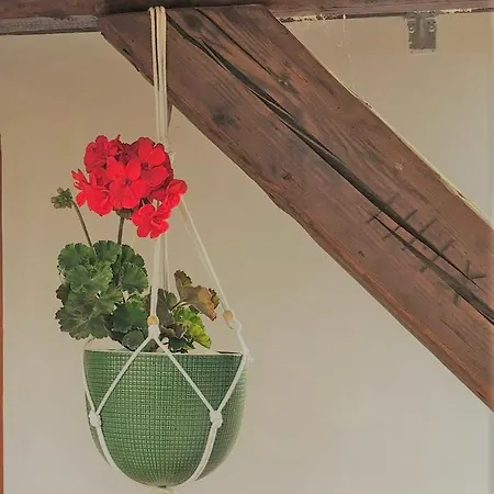 Holiday home Borbely Vendeghaz Nagykanizsa