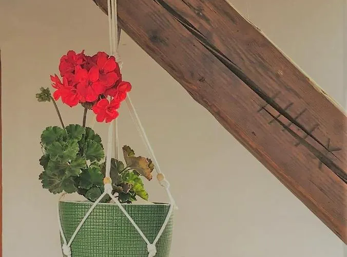 Prázdninový dům Borbely Vendeghaz Nagykanizsa