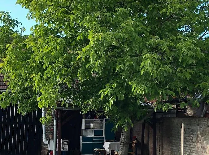 Holiday home Borbely Vendeghaz